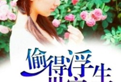 偷此一生在线观看,一场跨越时空的盗梦之旅